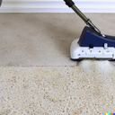 DALL·E 2023-05-01 10.44.35 - carpet cleaning in action.png